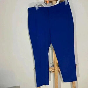 Zara Women’s Dress Pants Size 6 Blue